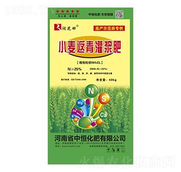 С������ҫ�{�� ��֥�� �к㻯��