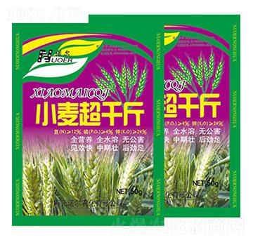 С����ǧ�� �R������