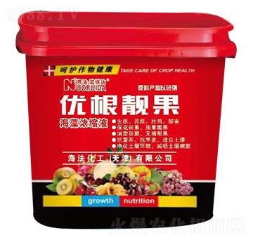 �����sҺ-��(y��u)���n��-��������