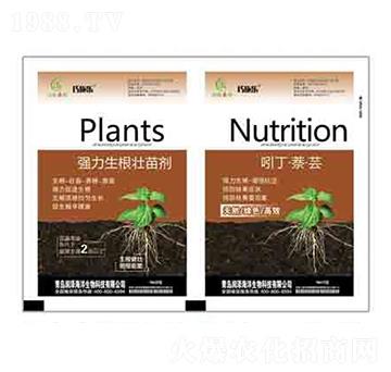 �����������焩+�Ŷ��������| ����