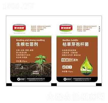 生根壯苗劑+枯草芽孢桿菌 潤(rùn)澤