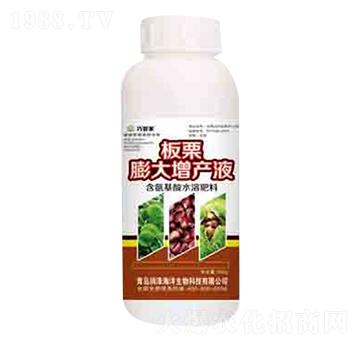 板栗膨大增產(chǎn)液 巧管家 潤(rùn)澤
