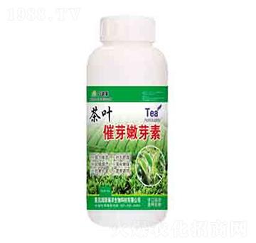 茶葉催芽嫩芽素 潤(rùn)澤