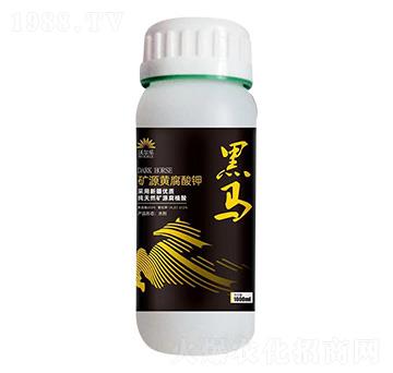 �VԴ�S�����-���R-�֠���