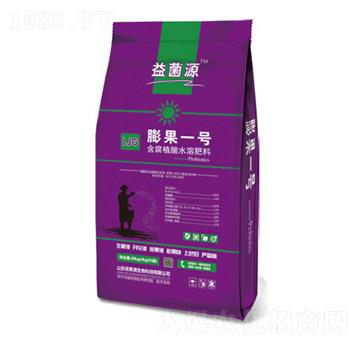 ���һ̖-���Դ-�T���M����