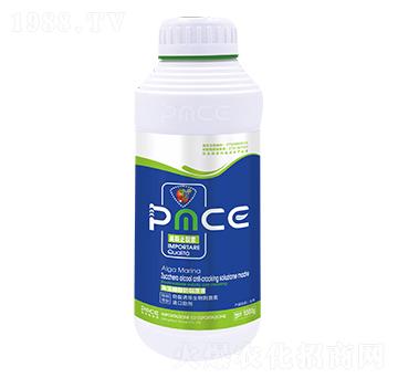 ��˹ֹ���� ����˹