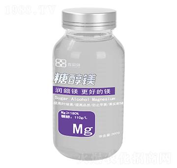 �Ǵ��V ������