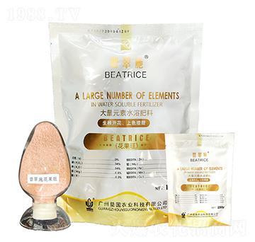 �̴�ʩ�������� ���(gu��)�r(n��ng)�I(y��)