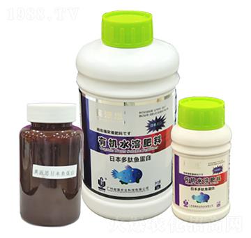 Ӣ��˼���ձ������~���� ����r(n��ng)�I(y��)