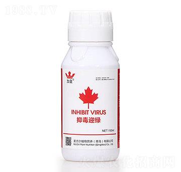 �ֶ�ӭ�G�����β������� �G�ʼt��