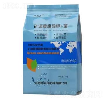 礦源黃腐酸鉀+菌 葉粒丹