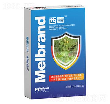 ��������Ч ���� ������