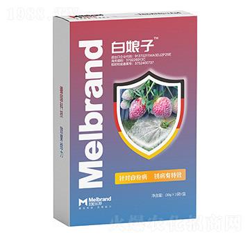 �׷۲����P����Ч ������ ����(l��)��