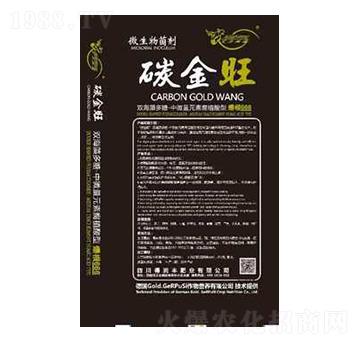 ̼���� �Ý��S