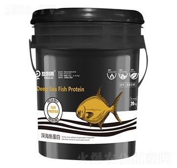 ��~���� �����R