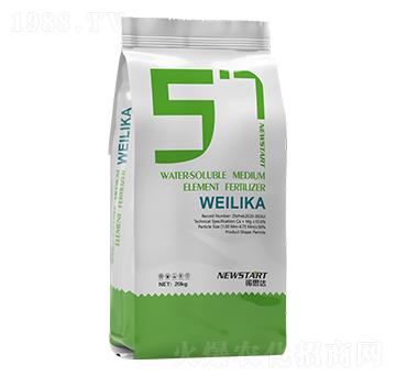 ΢���� �Z˼�_(d��)