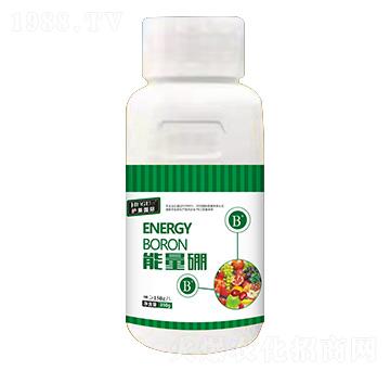 ������-�o(h��)��