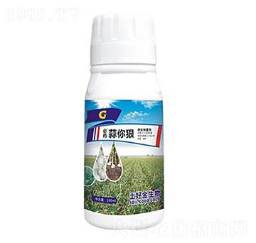 ����� ���ý�