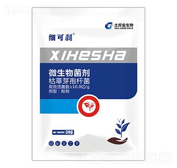 ��(x��)�Ʉx ���ý�