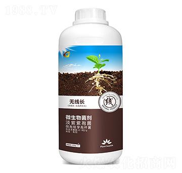 �o���L(zh��ng) ���ý�