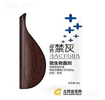 20g���� ���ý�