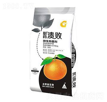 500g΢������� ���� ���ý�