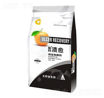 500g΢������� ���� ���ý�