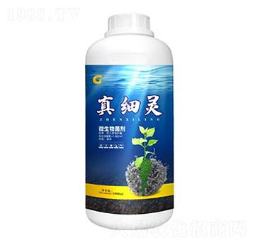 1000ml�漚(x��)�` ���ý�