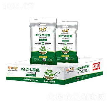 ����ľù�� �ɵ� �f��ȵ�