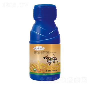 5%��������-����ʿ-�S�՘�(l��)