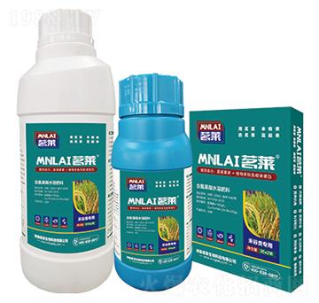 �̹�����~���-���R����