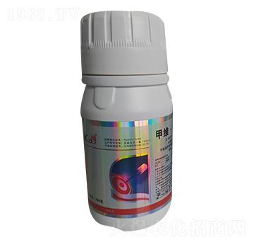 12%�׾S���x���� ��̩����