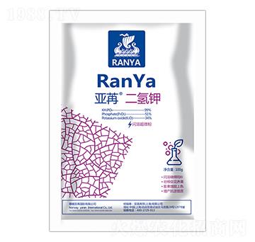 ���۶���� ���ۇ�(gu��)�H