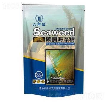 ̼ø���徫-���S�t