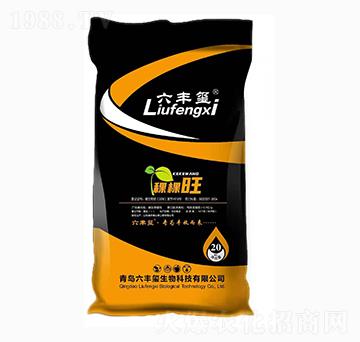 ΢�������-������-���S�t