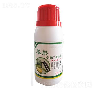 瓜類?？?果多多-苗哥農(nóng)化