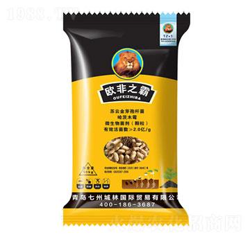 �������طN��-�W��֮��