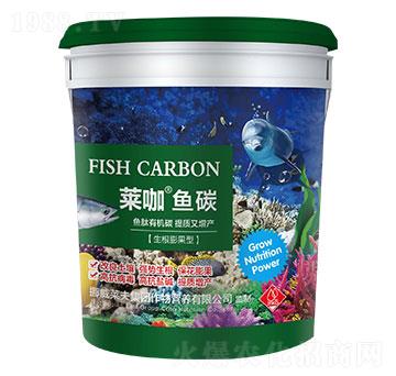 生根膨果型萊咖魚碳-芭甸生物