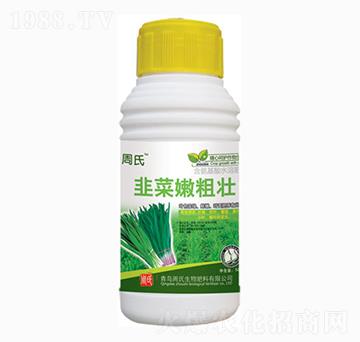 韭菜嫩粗壯-周氏農(nóng)化