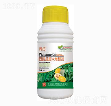 西甜瓜膨大增甜劑-周氏農(nóng)化