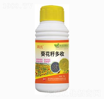 葵花籽多收-周氏農(nóng)化