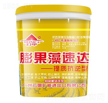 ��������_(d��)-�ü�-�V���ƈD