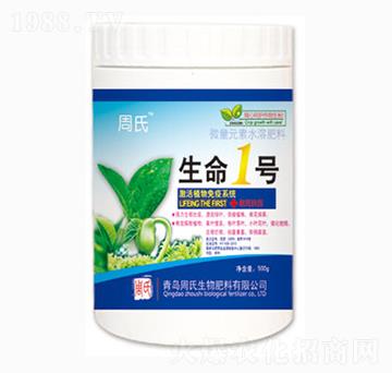 ����1̖-�����r��