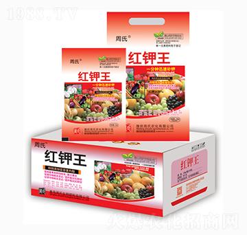 �t���-�����r(n��ng)��