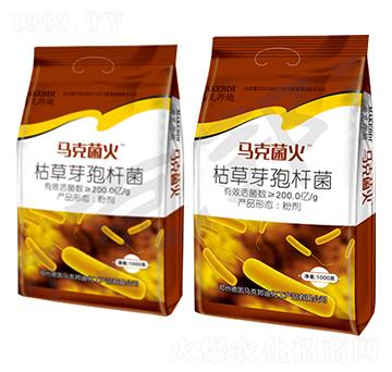 �ݲ�ѿ�ߗU��-�R�˾���-�R�˰��