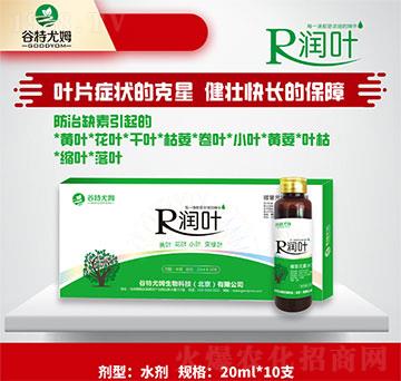 ���~-�S�~�����~��С�~׃�G�~-������ķ