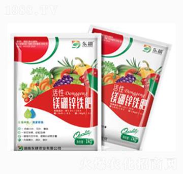 �V���\�F��-�|���r�I(y��)