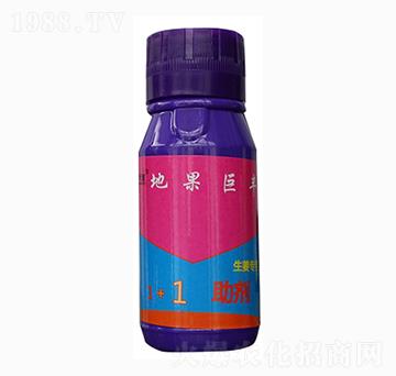 �ع����S-ʩ�̌�