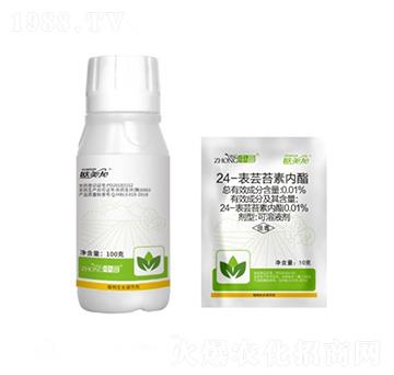 24-���|̦�؃�(n��i)�� �W���� ��ӯ