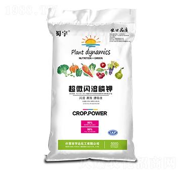 ��΢�W����� ���� ���_����